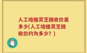 人工培植灵芝回收价是多少(人工培植灵芝回收价约为多少？)