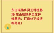 东山瑶族乡灵芝种植基地(东山瑶族乡灵芝种植基地：打造林下经济新亮点)