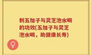 刺五加子与灵芝泡水喝的功效(五加子与灵芝泡水喝，助健康长寿)