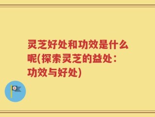灵芝好处和功效是什么呢(探索灵芝的益处：功效与好处)