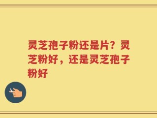 灵芝孢子粉还是片？灵芝粉好，还是灵芝孢子粉好