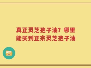 真正灵芝孢子油？哪里能买到正宗灵芝孢子油