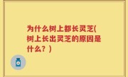 为什么树上都长灵芝(树上长出灵芝的原因是什么？)