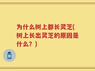 为什么树上都长灵芝(树上长出灵芝的原因是什么？)