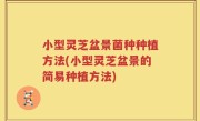 小型灵芝盆景菌种种植方法(小型灵芝盆景的简易种植方法)
