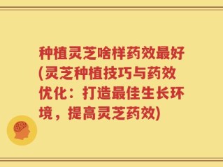 种植灵芝啥样药效最好(灵芝种植技巧与药效优化：打造最佳生长环境，提高灵芝药效)