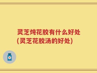 灵芝炖花胶有什么好处(灵芝花胶汤的好处)