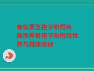 有机灵芝孢子粉照片 展现神奇孢子粉微观世界与健康奥秘