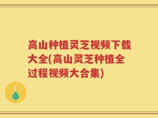 高山种植灵芝视频下载大全(高山灵芝种植全过程视频大合集)
