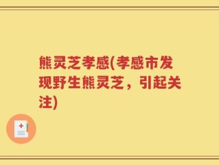 熊灵芝孝感(孝感市发现野生熊灵芝，引起关注)