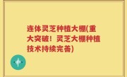 连体灵芝种植大棚(重大突破！灵芝大棚种植技术持续完善)