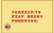 千年肉灵芝太岁(千年灵芝太岁：探密古老中药材的药效与文化)