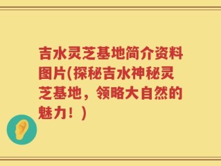 吉水灵芝基地简介资料图片(探秘吉水神秘灵芝基地，领略大自然的魅力！)