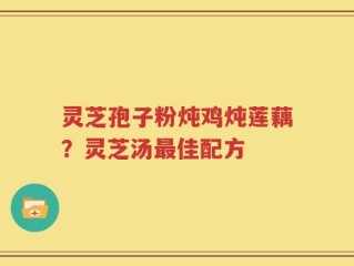 灵芝孢子粉炖鸡炖莲藕？灵芝汤最佳配方