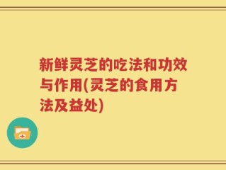新鲜灵芝的吃法和功效与作用(灵芝的食用方法及益处)
