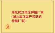 湖北武汉灵芝种植厂家(湖北武汉出产灵芝的种植厂家)