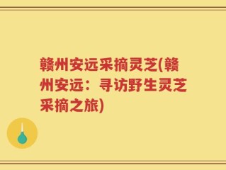 赣州安远采摘灵芝(赣州安远：寻访野生灵芝采摘之旅)