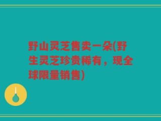 野山灵芝售卖一朵(野生灵芝珍贵稀有，现全球限量销售)