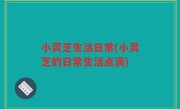 小灵芝生活日常(小灵芝的日常生活点滴)
