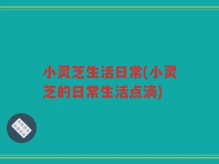 小灵芝生活日常(小灵芝的日常生活点滴)