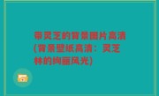 带灵芝的背景图片高清(背景壁纸高清：灵芝林的绚丽风光)