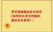 灵芝种植菌丝生长条件(如何优化灵芝种植的菌丝生长条件？)