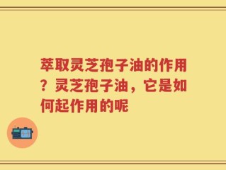 萃取灵芝孢子油的作用？灵芝孢子油，它是如何起作用的呢