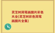 灵芝树简笔画图片彩色大全(灵芝树彩色简笔画图片全集)