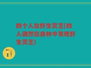 四个人捡野生灵芝(四人偶然在森林中发现野生灵芝)