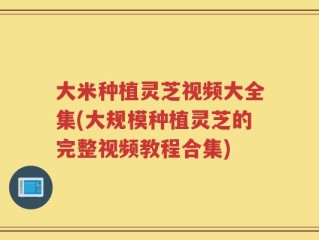 大米种植灵芝视频大全集(大规模种植灵芝的完整视频教程合集)