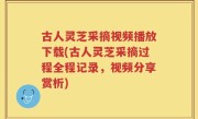 古人灵芝采摘视频播放下载(古人灵芝采摘过程全程记录，视频分享赏析)