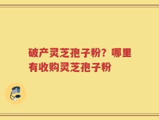 破产灵芝孢子粉？哪里有收购灵芝孢子粉