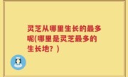 灵芝从哪里生长的最多呢(哪里是灵芝最多的生长地？)