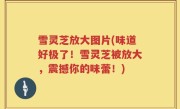 雪灵芝放大图片(味道好极了！雪灵芝被放大，震撼你的味蕾！)