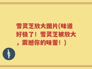 雪灵芝放大图片(味道好极了！雪灵芝被放大，震撼你的味蕾！)