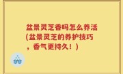 盆景灵芝香吗怎么养活(盆景灵芝的养护技巧，香气更持久！)