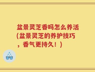 盆景灵芝香吗怎么养活(盆景灵芝的养护技巧，香气更持久！)