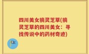 四川美女摘灵芝草(摘灵芝草的四川美女：寻找传说中的药材奇迹)