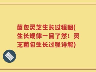 菌包灵芝生长过程图(生长规律一目了然！灵芝菌包生长过程详解)