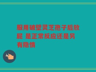 服用破壁灵芝孢子后放屁 是正常反应还是另有隐情