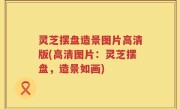 灵芝摆盘造景图片高清版(高清图片：灵芝摆盘，造景如画)