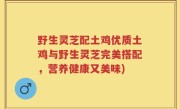 野生灵芝配土鸡优质土鸡与野生灵芝完美搭配，营养健康又美味)