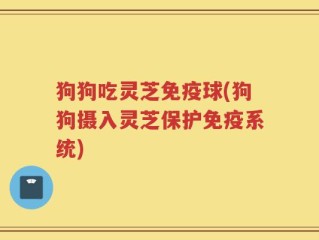 狗狗吃灵芝免疫球(狗狗摄入灵芝保护免疫系统)