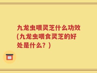 九龙虫喂灵芝什么功效(九龙虫喂食灵芝的好处是什么？)
