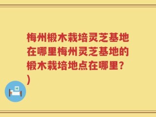 梅州椴木栽培灵芝基地在哪里梅州灵芝基地的椴木栽培地点在哪里？)
