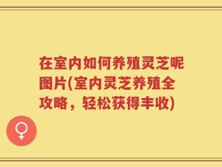 在室内如何养殖灵芝呢图片(室内灵芝养殖全攻略，轻松获得丰收)