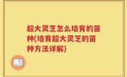 超大灵芝怎么培育的苗种(培育超大灵芝的苗种方法详解)