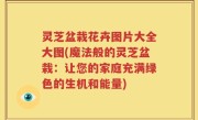 灵芝盆栽花卉图片大全大图(魔法般的灵芝盆栽：让您的家庭充满绿色的生机和能量)