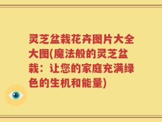 灵芝盆栽花卉图片大全大图(魔法般的灵芝盆栽：让您的家庭充满绿色的生机和能量)