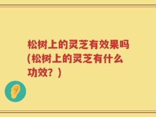 松树上的灵芝有效果吗(松树上的灵芝有什么功效？)